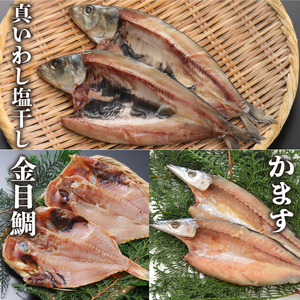 干物 5種 2枚 計10枚 セット 干物