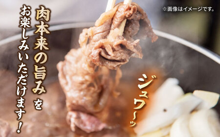 長崎和牛 切り落とし 600g（300g×2パック） [JEP008]切り落とし