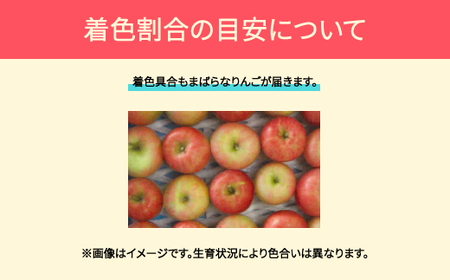 【先行予約】りんご 品種おまかせ 10kg 色むら 傷あり へこみ 変形 ◯秀 無印 2026年産 ja-ri3kx10