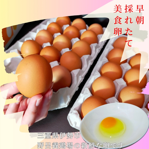 1521 こだわり 自慢のたまご 美食卵 60個 伊勢産 野呂養鶏場 ふるさと納税 玉子 国産 新鮮 濃厚 たまご 卵 生卵 とれたて 卵かけごはん TKG お取り寄せ グルメ 伊勢志摩 三重県 伊勢市