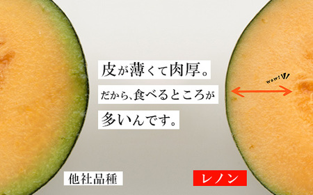 【先行予約】レノンハート3～4個　※離島への配送不可　※2026年5月下旬～6月下旬頃に順次発送予定