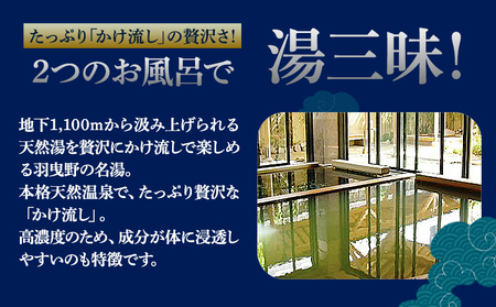 天然温泉華の湯入浴券 25枚