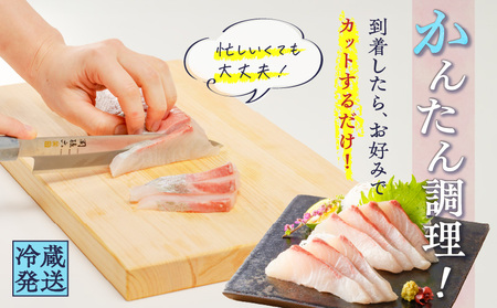 鹿児島産 スライスするだけ！カンパチ刺身用 1/4本 3～4人前 K100-006 魚