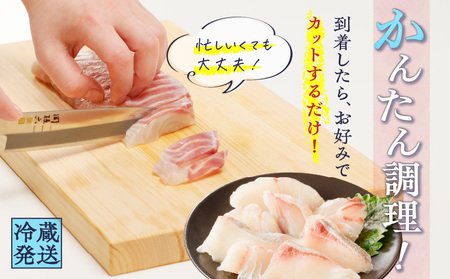 鹿児島産 スライスするだけ！真鯛（マダイ）刺身用 片身分 500g K100-008 魚