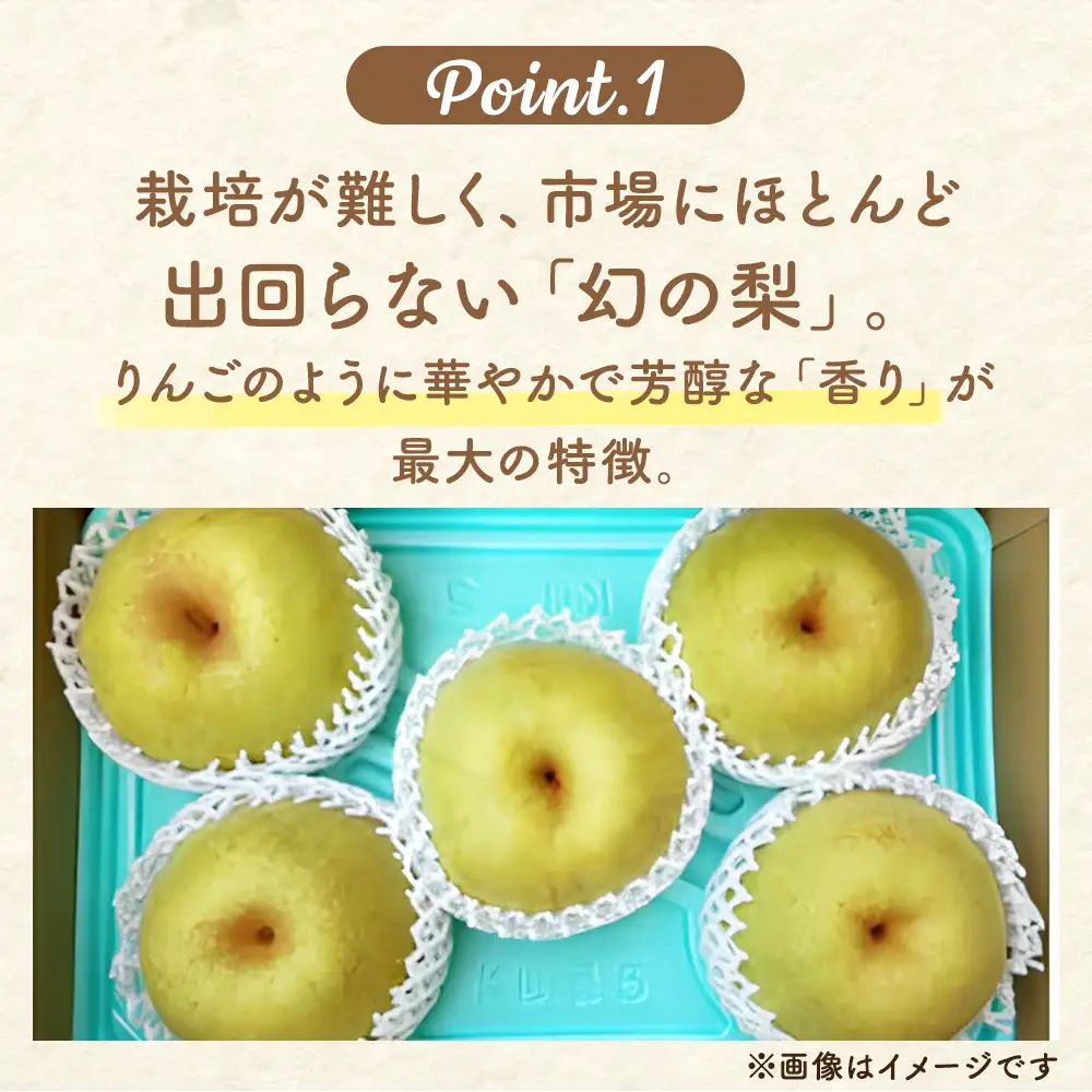 【先行予約】梨(かおり) 4玉～7玉入り×1箱 (4.5kg以上) ※2026年9月上旬～9月下旬頃に順次発送予定
