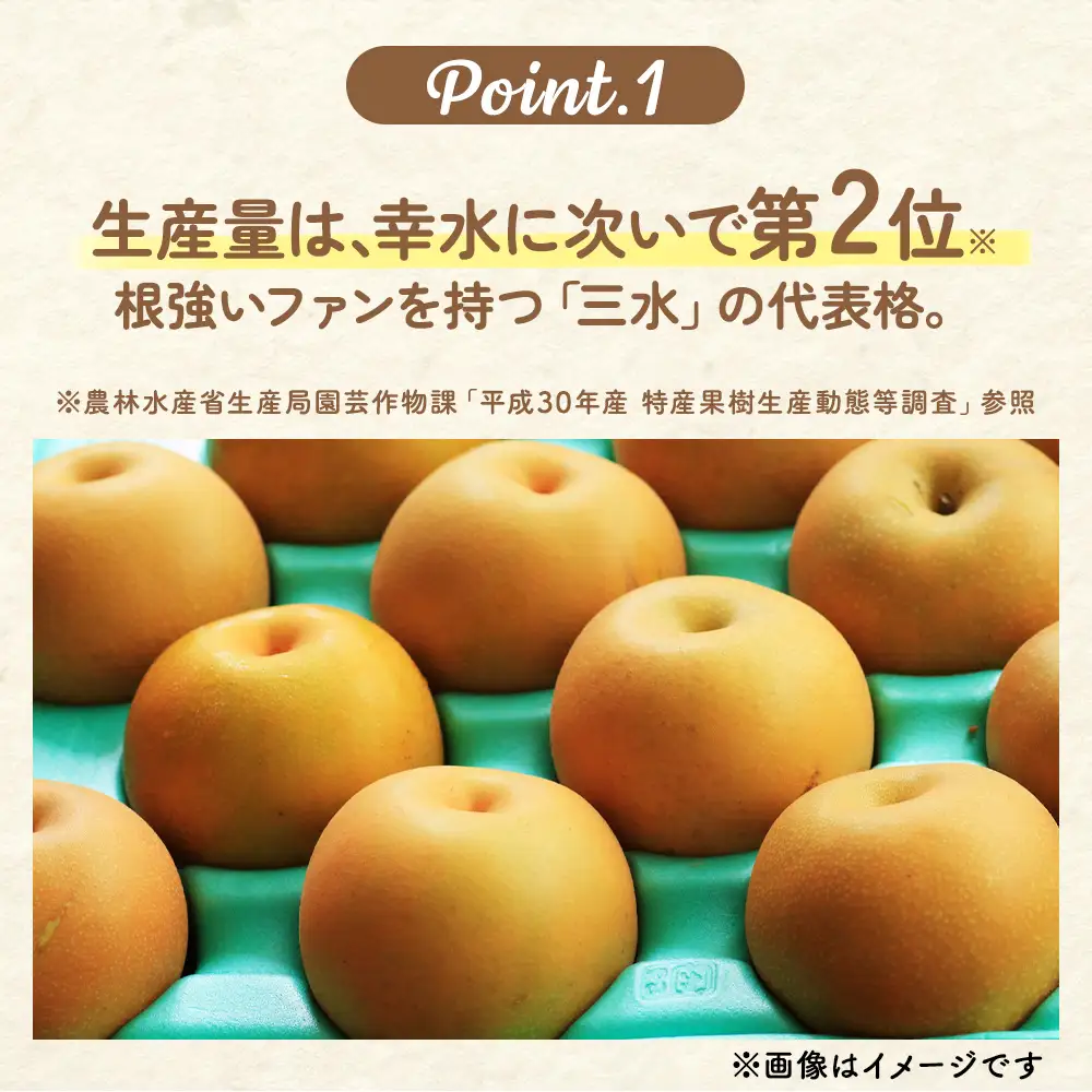 【先行予約】梨(にっこり) 2玉入り×1箱 (内容量1玉900g以上) ※2026年10月上旬～11月下旬頃に順次発送予定