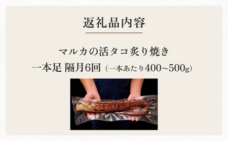 活タコ 炙り焼き 一本足 定期便 隔月 6回 タコ たこ 直火焼き おかず おつまみ 蛸 刺身