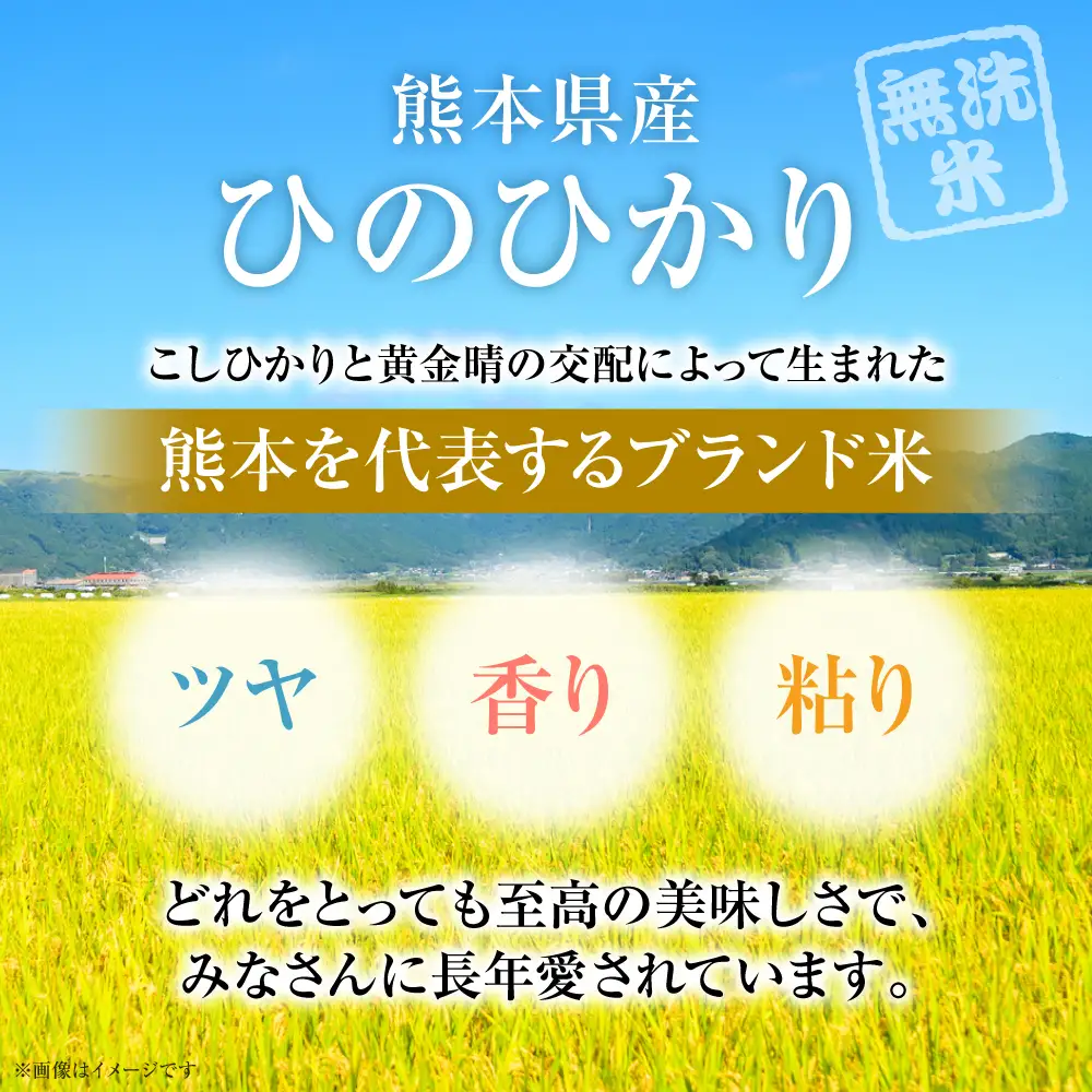 【令和7年産】 熊本県産 無洗米 熊本ひのひかり 10kg (5kg×2袋) 米 お米 精米 白米 ごはん ご飯 熊本