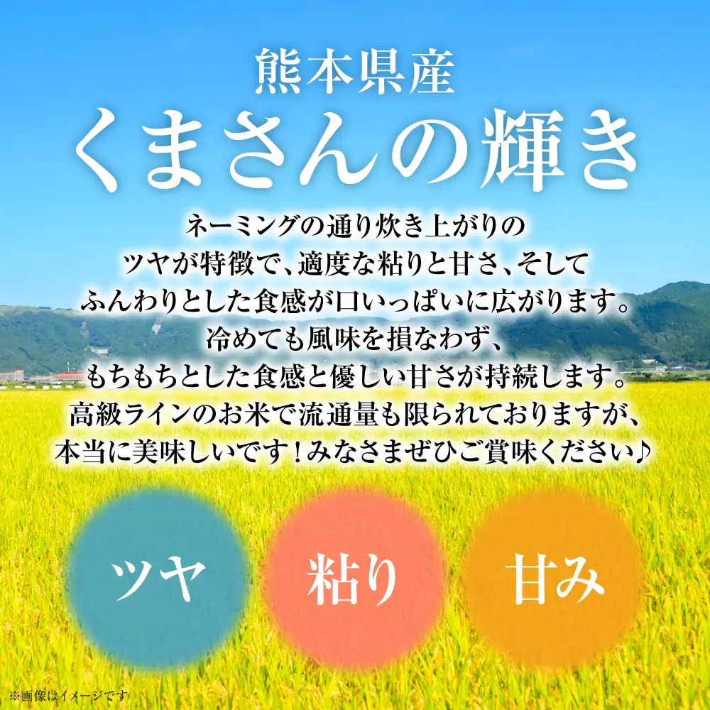 【令和7年産】 熊本県産 くまさんの輝き 10kg (5kg×2袋) 米 お米 精米 白米 ごはん ご飯 熊本県 八代市