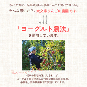 黄金（りんご）ジュース 1,000ml×3本 〈平泉町産 完熟りんご 100％使用〉 大文字りんご園 /【dma100-1lx3C】