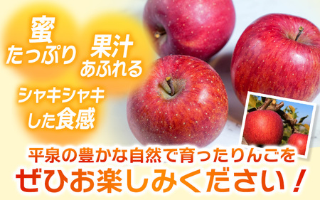 【先行予約】【12月上旬より順次発送】大文字りんご園 サンふじ 約3kg (7～10玉) 【dma513-sf-3C】