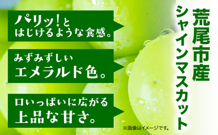 【先行予約】シャインマスカット  約1kg(2房）フレッシュフーズ 《8月上旬-9月上旬頃出荷》熊本県産(荒尾市産) 柑橘 フルーツ フレッシュフーズ シャインマスカット 果物 美味しいシャインマスカット 旬のシャインマスカット ジューシーシャインマスカット フルーツシャインマスカット