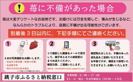 いちご とちおとめ 約400g いちご 【2027年1月~4月発送分】