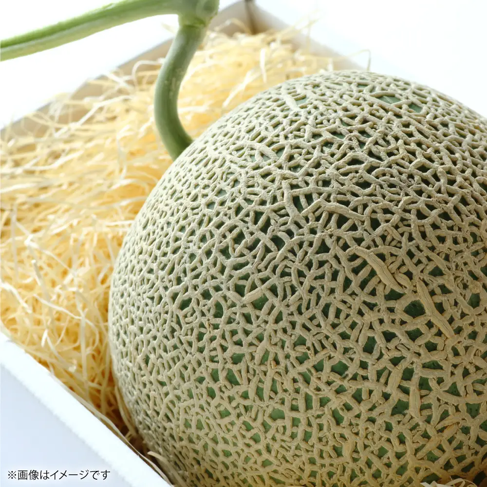 肥後グリーン 2玉 4L以上（合計4kg以上）メロン 果物