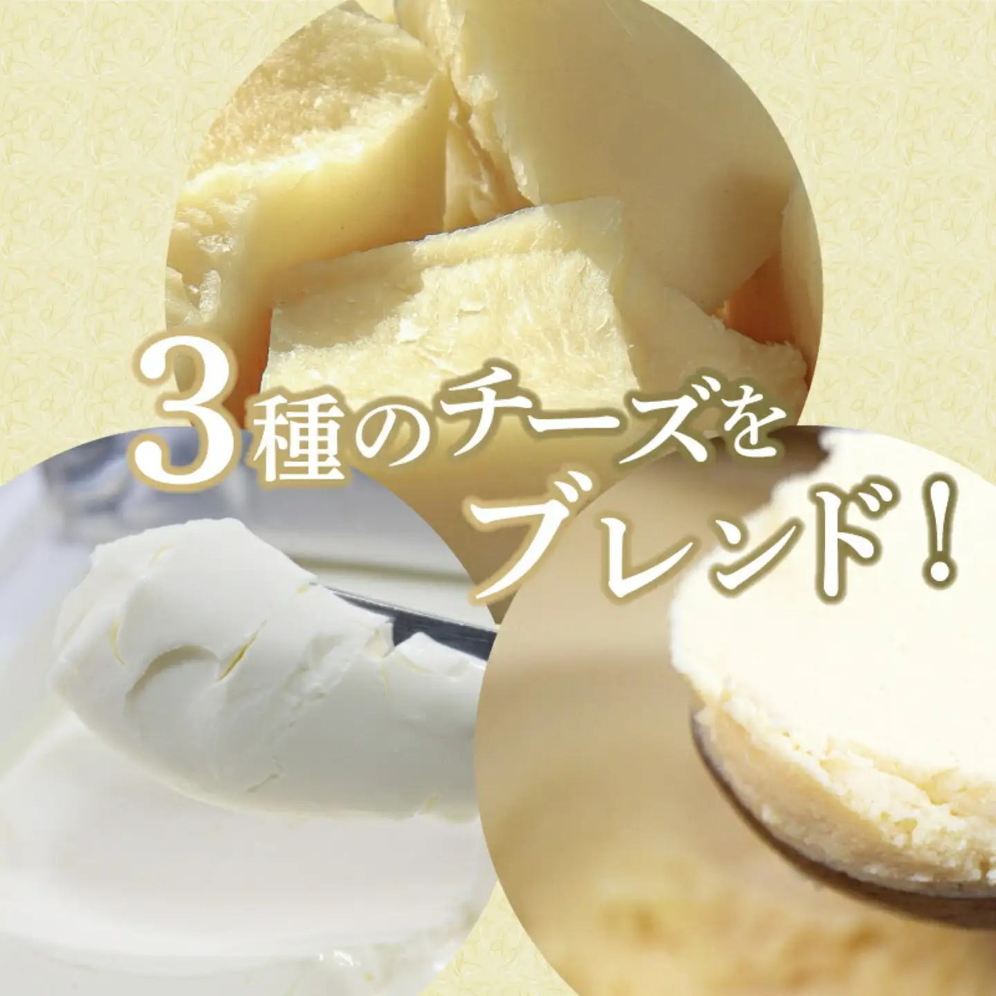 【人気スイーツ】半熟チーズケーキ5個・半熟ショコラ5個（10個入り）｜チーズケーキ 