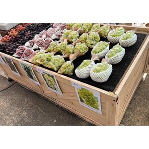 【2026年度_先行予約】【ご家庭用】巨峰（種あり）約1kg〔2026年8月上旬より順次発送〕