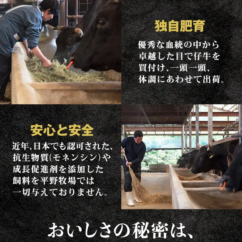 【2ヵ月毎定期便】特選和牛(焼肉薩摩の完熟平野幸一之牛)ハンバーグ10個全6回_肉 ハンバーグ 牛肉   定期便 定期便  _【配送不可地域：離島】【4050394】