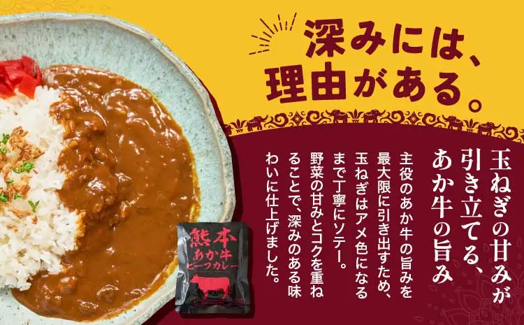 くまもと あか牛 ビーフカレー 15人前 
