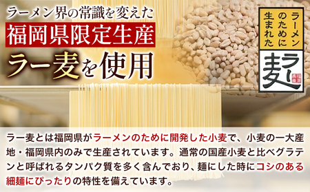 博多とんこつラーメン 5人前(めん×5 スープ×5) 豚骨 とんこつ ラーメン《30日以内に出荷予定(土日祝除く)》 福岡県