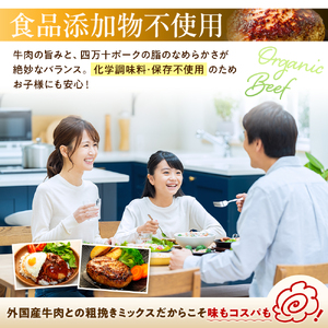 四万十ポーク入り  ハンバーグ 200g x 6個 1.2kg はんばーぐ 