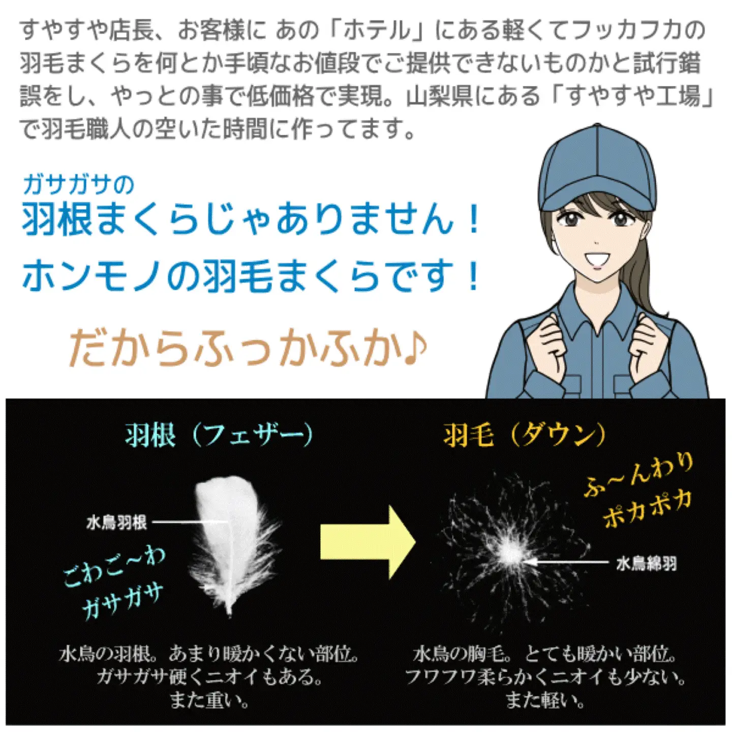 【高め】洗えるダウンピロー（50cmX70cm 520g入り）| 【新津】 枕