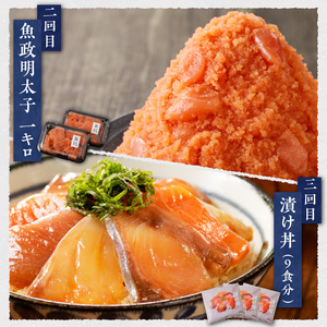 【定期便4回】魚が主役の食卓 魚政厳選 お魚定期便（①紅鮭塩焼き100g・真鯛味噌焼き100g・銀だらみりん焼き100g・金目鯛塩焼き100g・鯛のあらだき120g・カレイ煮付け120g・銀だら煮付け120g・銀むつ煮付け120g②魚政明太子1kg③漬け丼120g×9P④真鯛味噌焼き100g・金目鯛塩焼き100g・銀だらみりん焼き100g・紅鮭塩焼き100g・銀だら煮付け120g・カレイ煮付け120g・鯛のあらだき 2切240ｇ）_【定期便】 お魚定期便 4回 焼き魚 塩焼き 味噌焼き みりん焼き 煮付け 明太子 漬け丼 鯛のあらだき セット 詰め合わせ 魚介類 海鮮 魚料理 惣菜 調理済み おすすめ 冷凍 冷凍配送 お取り寄せ お取り寄せグルメ 福岡県 久留米市 送料無料 〔Tk017〕