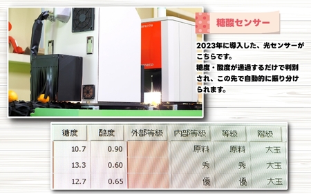由良早生 みかん 家庭用 5kg / ゆら早生 温州みかん 極早生 甘い 家庭用 和歌山 柑橘 ※2026年10月上旬～11月上旬順次発送 ※北海道・沖縄・離島への配送不可 【nuk003-yura-5A】