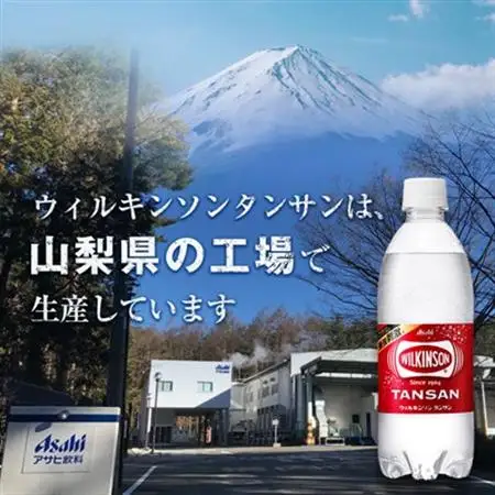 【毎月定期便】【12か月お届け】ウィルキンソン タンサン 1000ml【12本入】アサヒ飲料全12回【4050124】