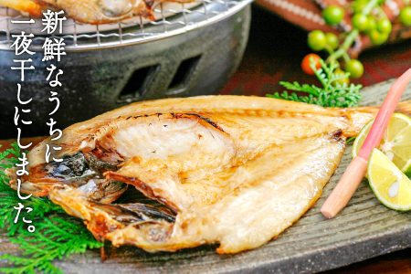 のどぐろ一夜干し 2尾 【3回定期便】【1尾あたり101～120g 2尾 のどぐろ干物 6枚 のどぐろ ノドグロ あかむつ アカムツ 新鮮 干物 一夜干し 個包装 小分け 真空パック 冷凍 贈答 父の日 母の日】