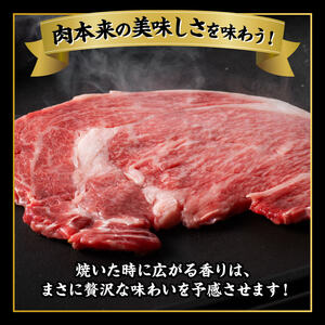 宮崎牛 サーロインステーキ 800g 【 肉 牛肉 国産 宮崎県産 黒毛和牛 サーロインステーキ 】