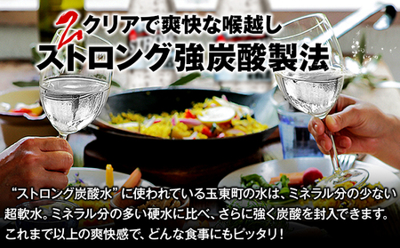 【6ヶ月定期便】強炭酸水12箱（計6回お届け 合計12ケース: 500ml×288本）《申込み翌月から発送》 定期便 あり ★強炭酸水★クリアで爽快な喉越し!くまもと風土の強炭酸水★ストロング炭酸水 定期便あり ハイボールなどお酒の割材にも ソーダ 送料無料 定期便あり熊本炭酸水