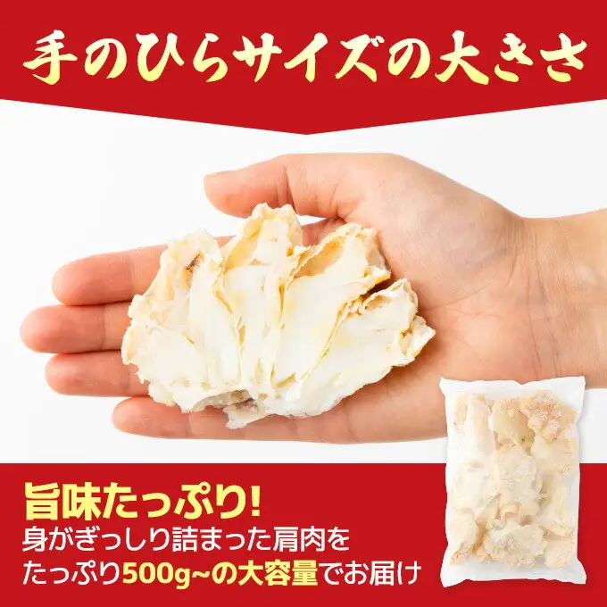 量が選べる！本ズワイガニ 肩肉 1.5kg（1500g） カニ用フォーク付き！ 年末年始 お歳暮 正月 ギフト 2025