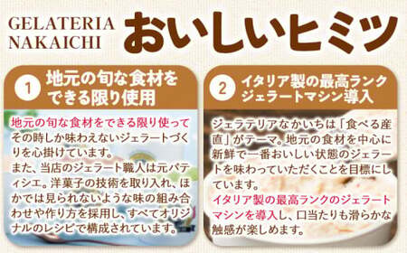 ジェラート 6種 6個 バラエティーセット GELATERIA NAKAICHI《30日以内に出荷予定(土日祝除く)》岩手県 九戸村 ジェラート アイス ミルク チョコ 抹茶 リンゴ ラムレーズン ジェラート ジェラート ジェラート 