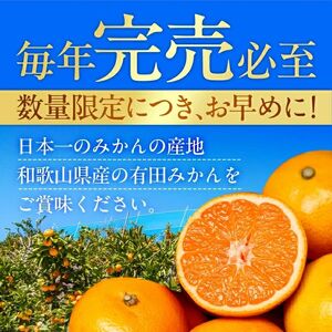 有田みかん 極 プレミアム 10kg (2S～Lサイズ) 光センサー選別 / 温州みかん みかん 甘い 高級 和歌山 柑橘 ※2026年11月下旬～2027年1月上旬頃に順次発送予定 ※北海道・沖縄・離島への配送不可 【nuk004-p-10E】