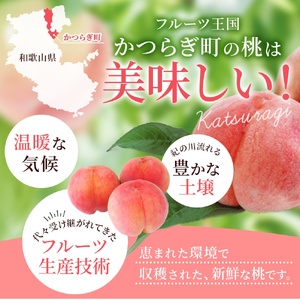 桃 和歌山県産 秀品 3玉 食べきり容量 桃【kgr002】
