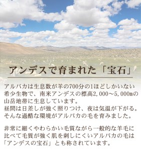 アルパカ毛布 シングルサイズ | 毛布 [2156]