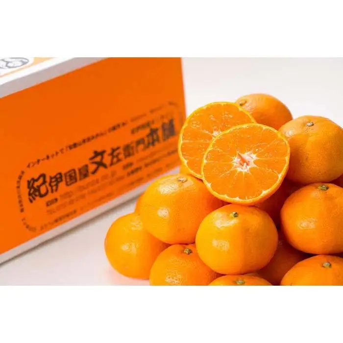 ブランド有田みかん 秀品 5kg［サイズおまかせ］／産地直送／薄皮で甘い美味しい和歌山県産／紀伊国屋文左衛門本舗