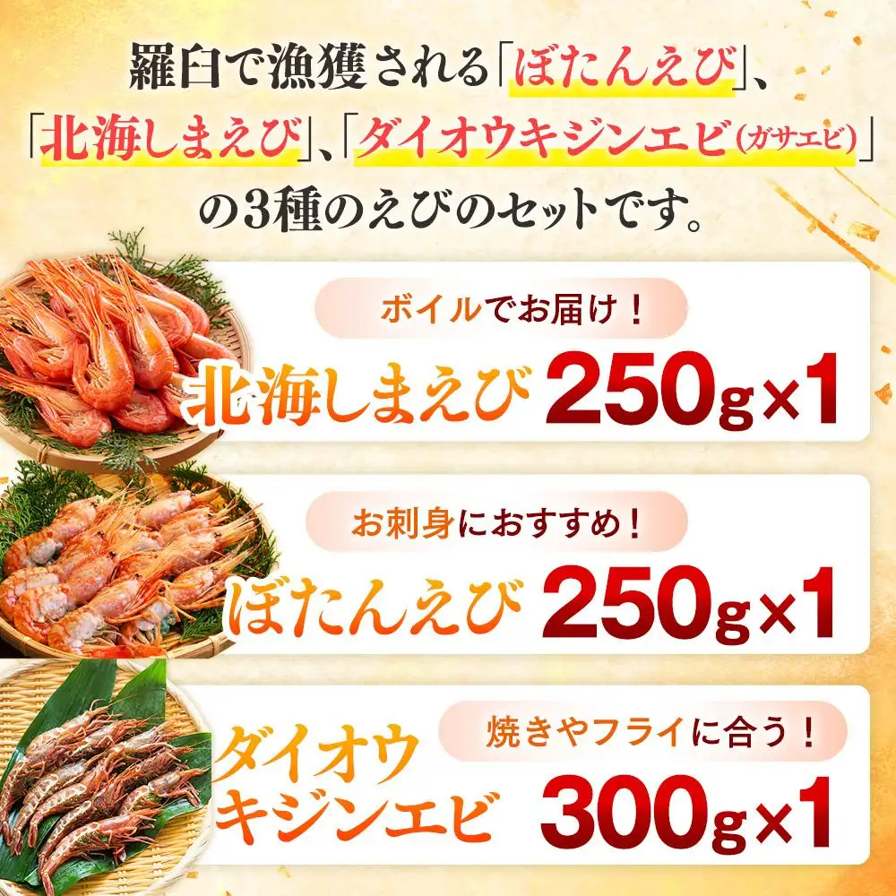 知床羅臼 3種えび食べ比べセット｜えび　刺身　北海道