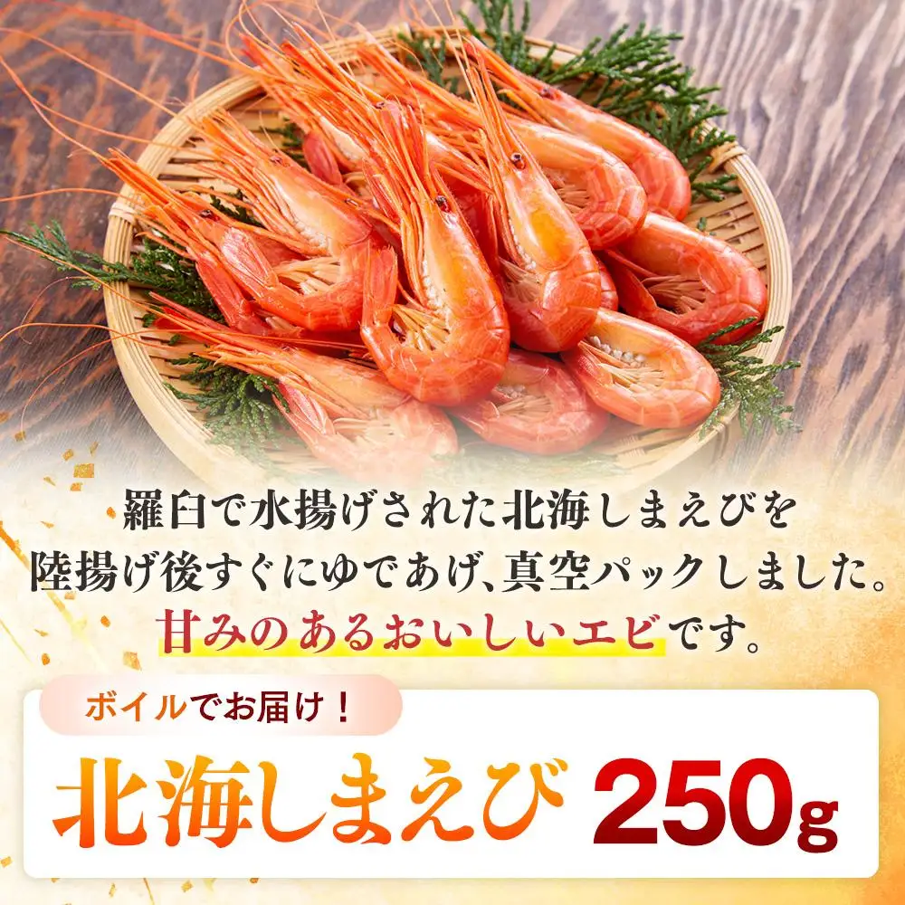 羅臼産 北海しまえび(小)  ボイル冷凍250g  エビ 知床