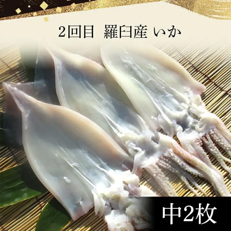 【年6回定期便】羅臼直送　厳選一夜干し 魚 さかな 一夜干し 国産 知床 北海道