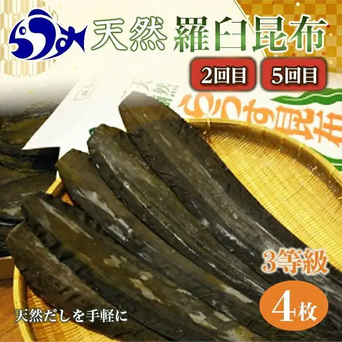 【年6回】羅臼昆布の出汁比べ定期便（等級比較）羅臼昆布 だし 和食 国産 知床 北海道