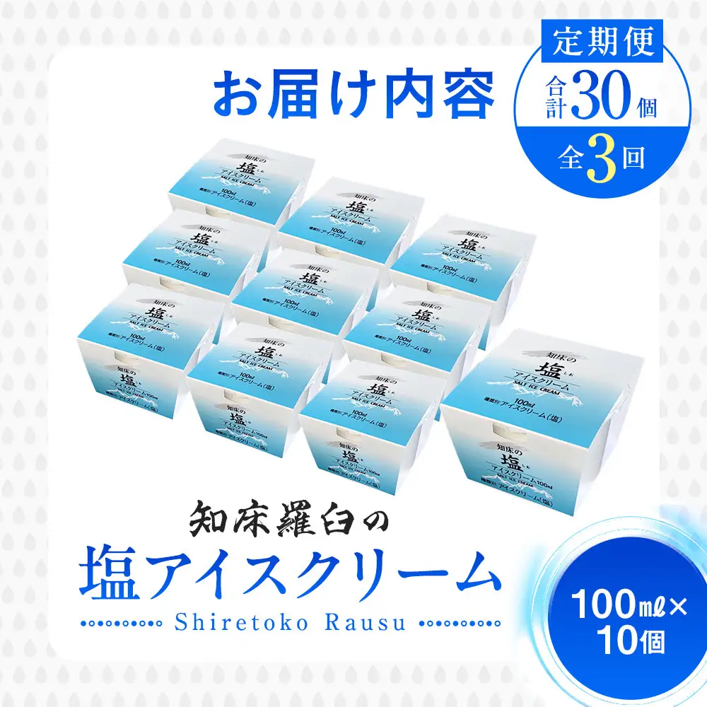 年3回！北海道 知床羅臼（らうす）の塩アイスクリーム定期便 アイス スイーツ バニラ お菓子 家族 北海道