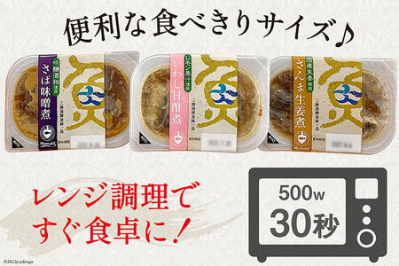 4回 定期便《3ヶ月に1回》三陸漁師美味一品ギフト3種9パック（さんま生姜煮 さば味噌煮 いわし甘酢煮）各100g×3p 合計900g [阿部長商店 宮城県 気仙沼市 20564512]
