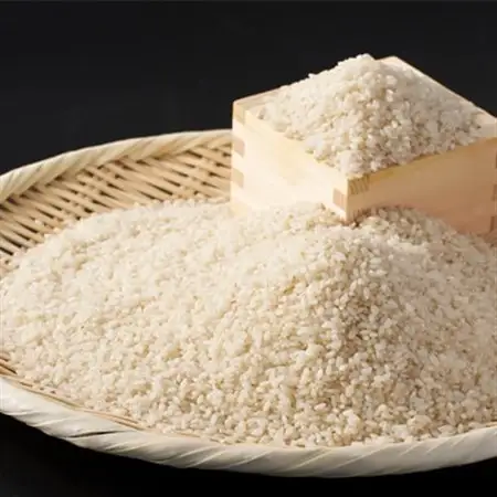 令和7年産 茨城県産 常陸牛農家が育てた コシヒカリ 精米 5kg_ 精米 米    コシヒカリ 米 こしひかり_【配送不可地域：離島・沖縄県】【1354560】