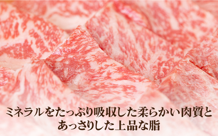 【全2回定期便】 壱岐牛 肩ロース 500g（焼肉用）《壱岐市》【壱岐市農業協同組合】 肉 牛肉 焼肉 BBQ 赤身 [JBO124] 54000 54000円