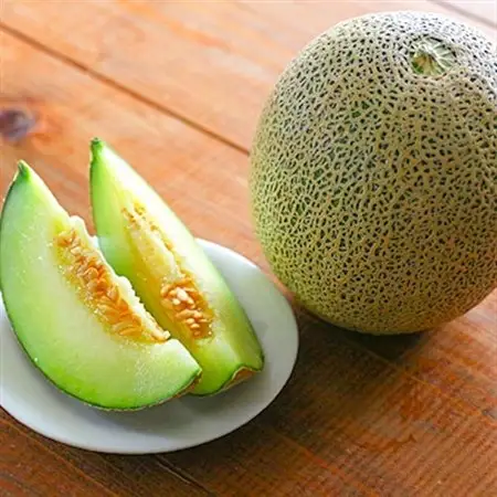 ベルファームの冷凍メロンジュース 茨城県産メロン100% 100g×15袋 【離島・沖縄配送不可】_飲料・ドリンク  果汁飲料 _【配送不可地域：離島・沖縄県】【1443649】