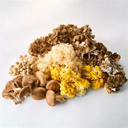 きのこの詰め合わせ　M(約1500g)_野菜  きのこ _【配送不可地域：離島・沖縄県】【1449115】