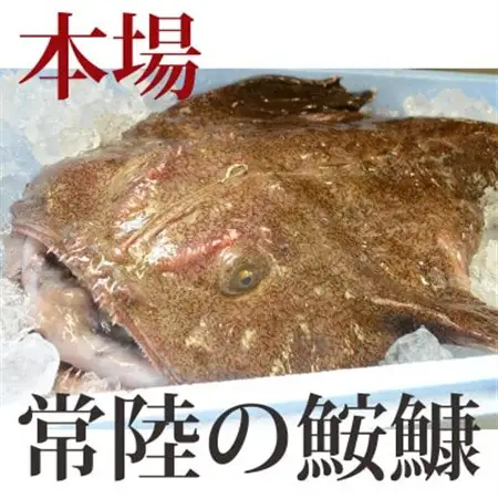 【2026年10月発送】常陸名物　あんこう鍋セット(3～4人前)_魚介・海産物  鮮魚   惣菜・加工品 魚 鍋 なべ ナベ_【配送不可地域：離島・沖縄県】【1470357】