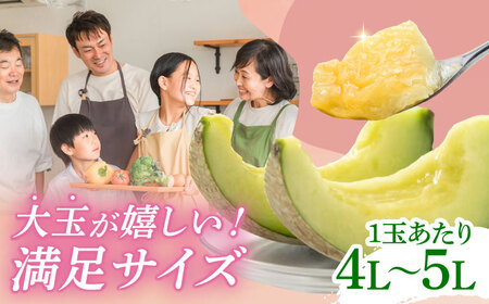 【数量限定】【先行予約】アールスメロン 約4kg～5kg（4L～5L）2玉入【道の駅 水辺プラザかもと】[ZEG001]