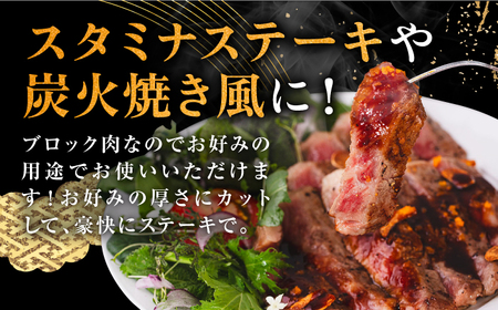 【全2回定期便】壱岐牛 サーロイン ブロック 3kg 《壱岐市》【中津留】 サーロイン ステーキ BBQ 焼肉 牛肉 赤身 [JFS072]